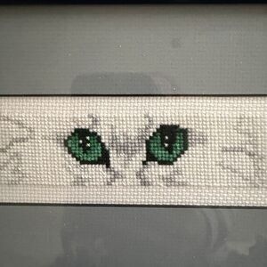 Framed Cross-Stitch Cat Eyes Art 28.5 inx6 in Veterinary Cat Lover